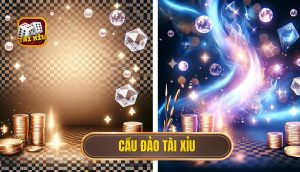 cầu đảo tài xỉu