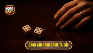 cách vận hành game tài xỉu