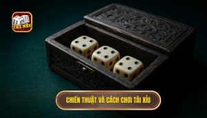 chiến thuật và cách chơi tài xỉu