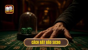 cách bắt bão sicbo