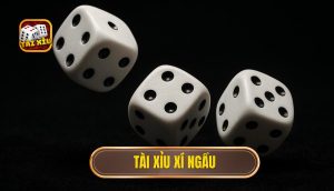thumb - tài xỉu xí ngầu