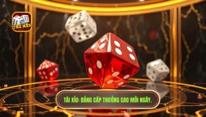TÀI XỈU_ Đẳng cấp thưởng cao mỗi ngày.